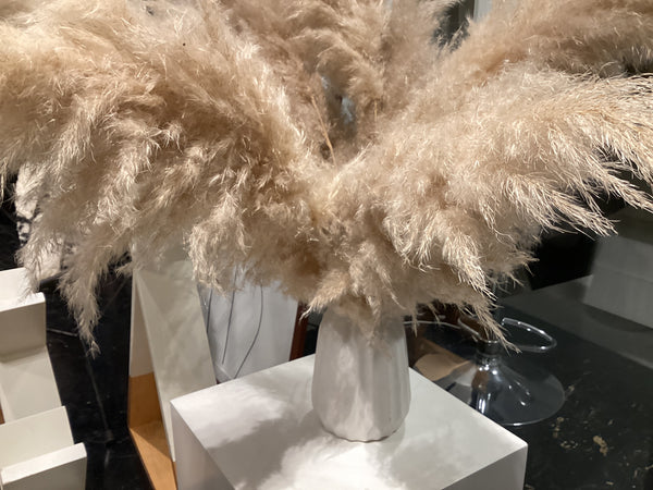 Pampas